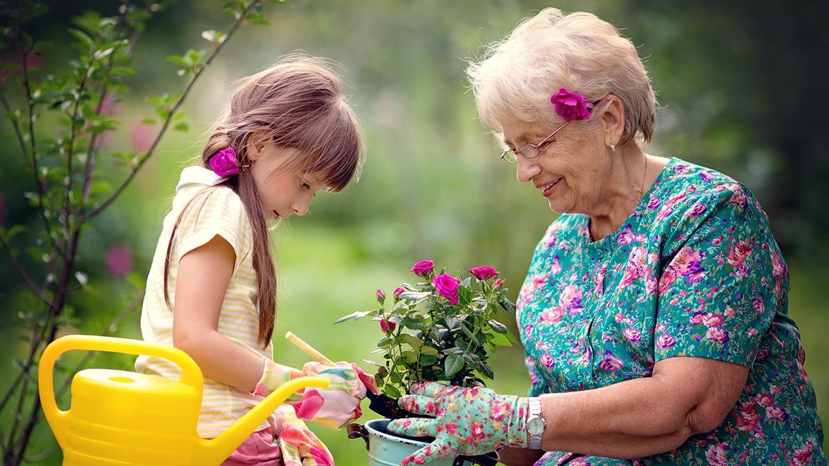 Article Cards Featured Image Happy Grandmother with her granddaughter working in the garden