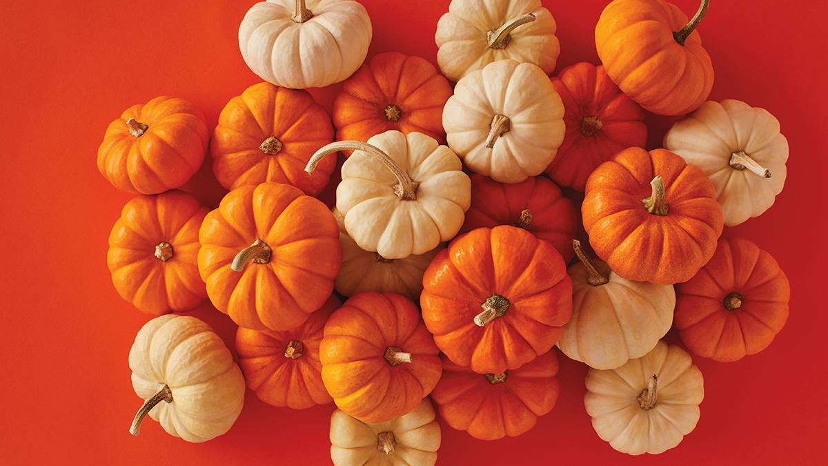 Article Cards Featured Image facts about pumpkins ftimage x