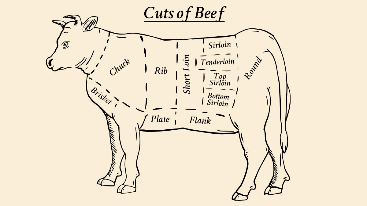 Diagram of Cuts of beef illustrated on an outline of a cow