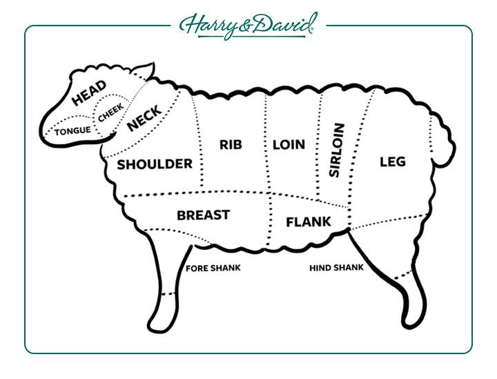 Cuts of lamb meat diagram.